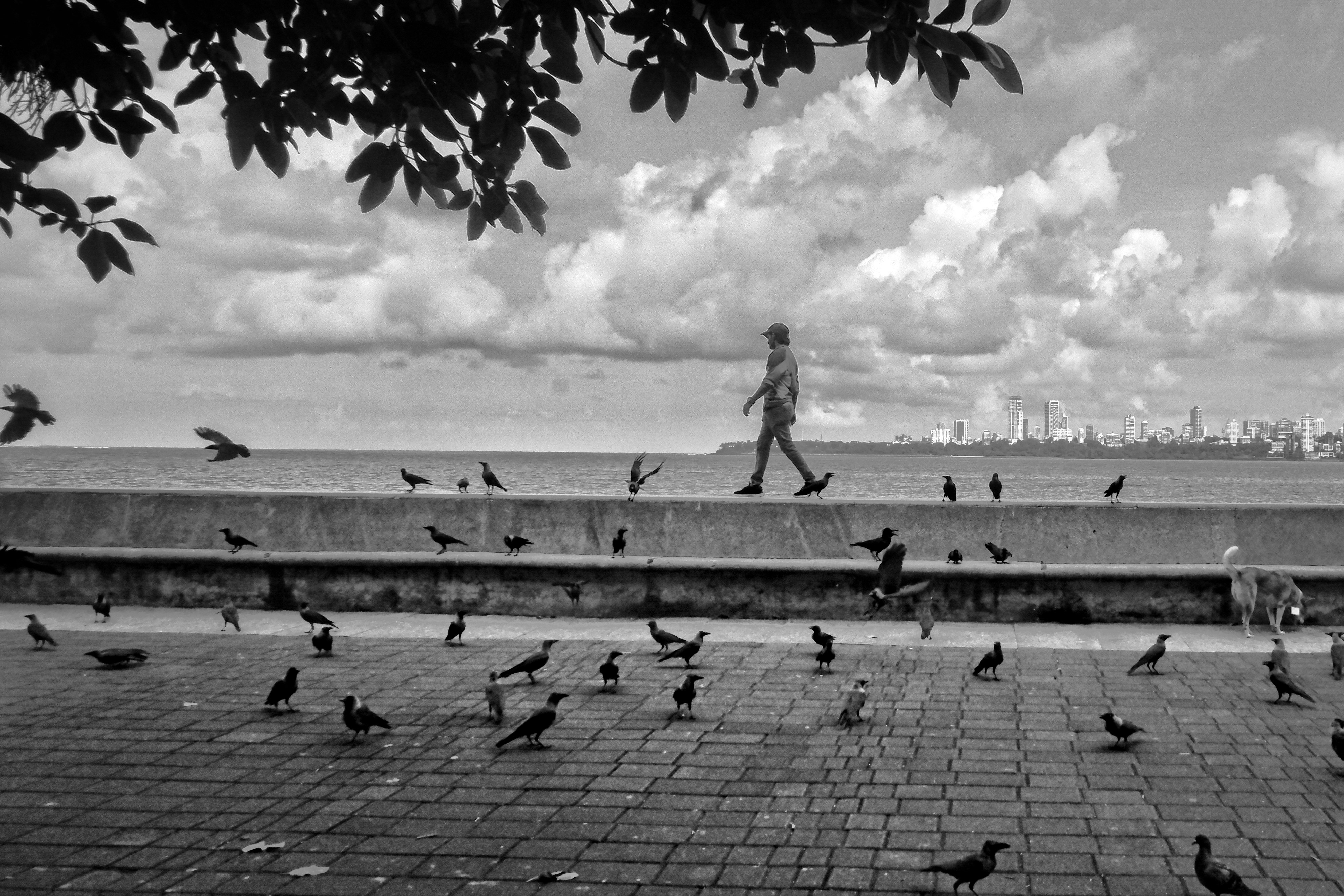 Street Photography Black & White 30